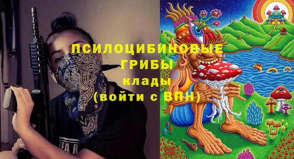 первитин Балахна